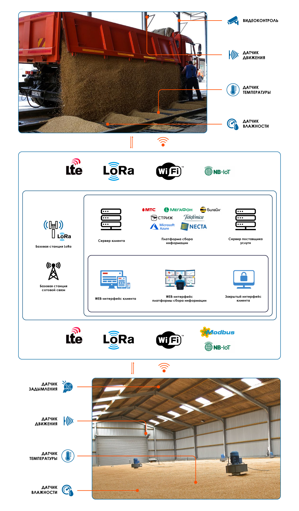 IOT в сельском хозяйстве.jpg